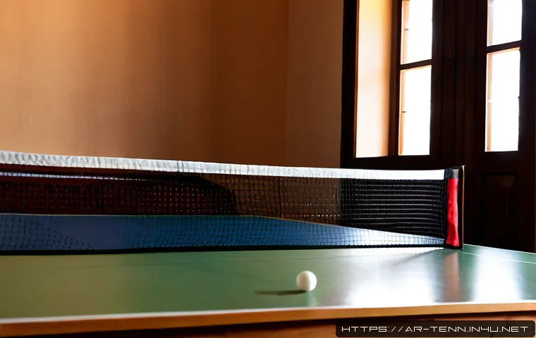 탁구 필수 용품 - Photorealistic flat lay of essential table tennis equipment neatly arranged on a clean indoor table:...